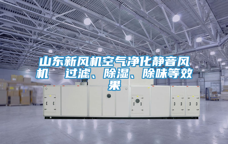 山东新风机空气净化静音风机  过滤、除湿、除味等效果