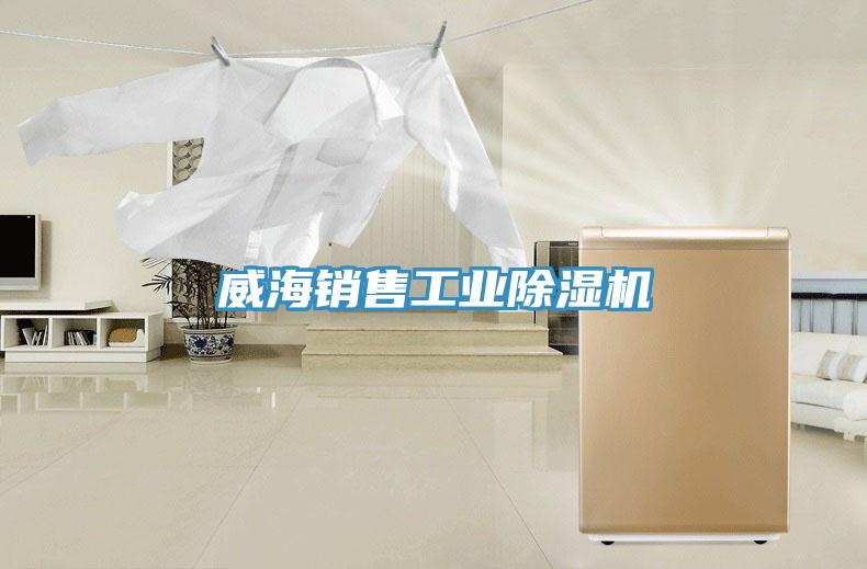 威海销售工业粉色应用黄色软件