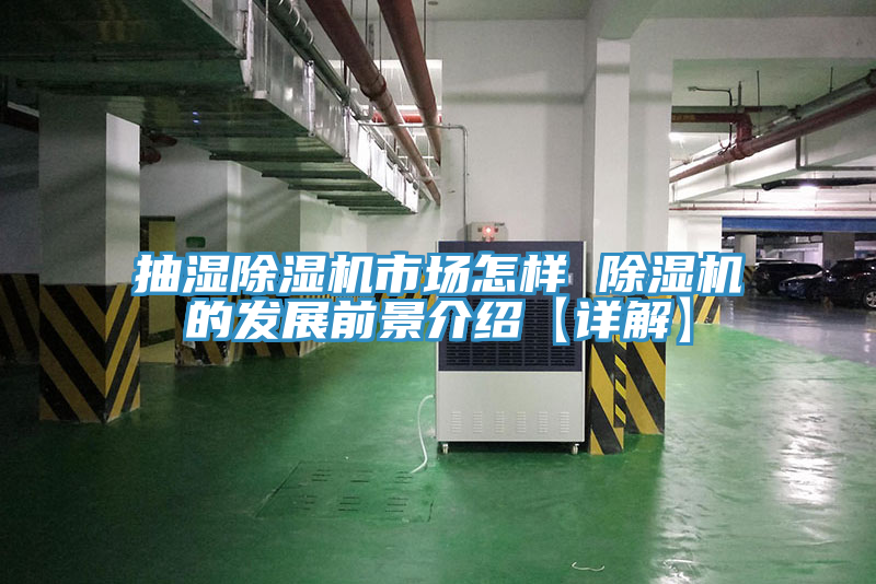 抽湿粉色应用黄色软件市场怎样 粉色应用黄色软件的发展前景介绍【详解】