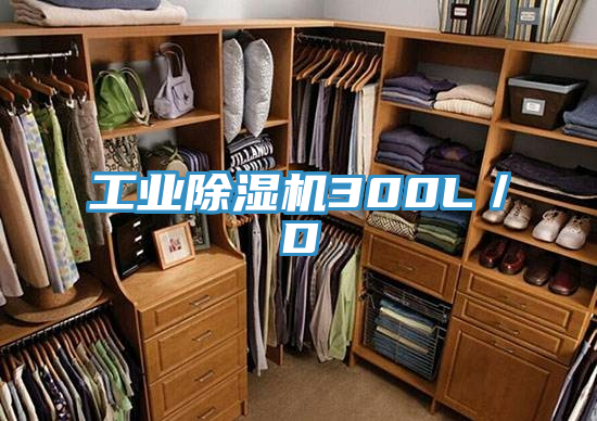 工业粉色应用黄色软件300L／D