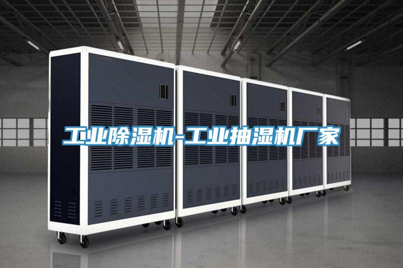 工业粉色应用黄色软件-工业抽湿机厂家