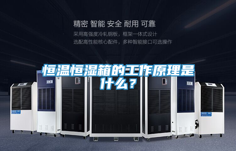 恒温恒湿箱的工作原理是什么？