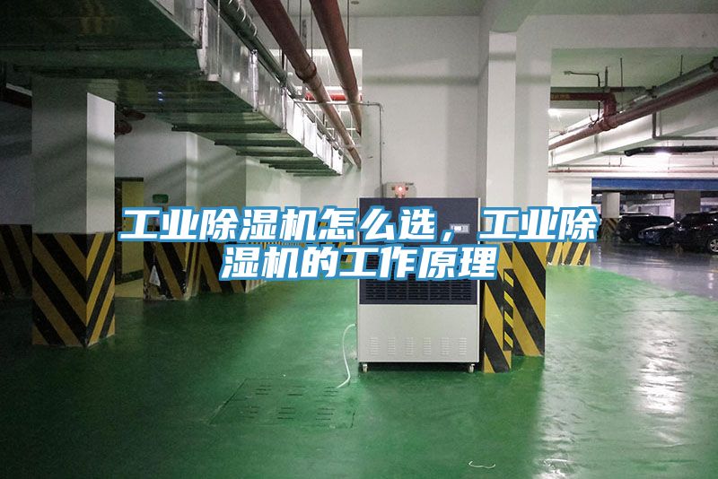 工业粉色应用黄色软件怎么选，工业粉色应用黄色软件的工作原理