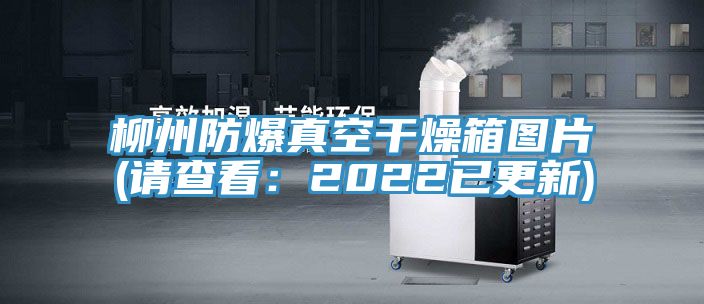 柳州防爆真空干燥箱图片(请查看：2022已更新)