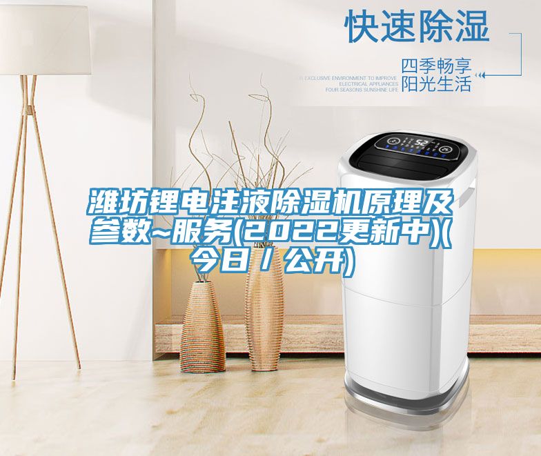 潍坊锂电注液粉色应用黄色软件原理及参数~服务(2022更新中)(今日/公开)