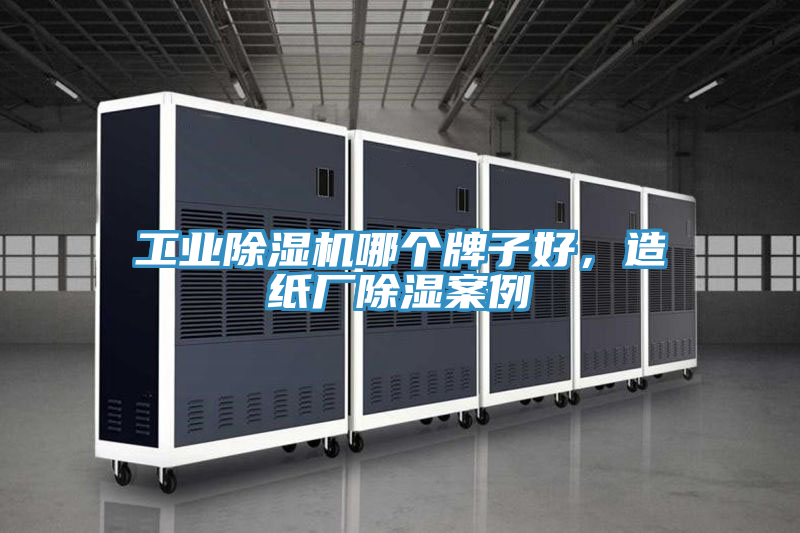 工业粉色应用黄色软件哪个牌子好，造纸厂除湿案例