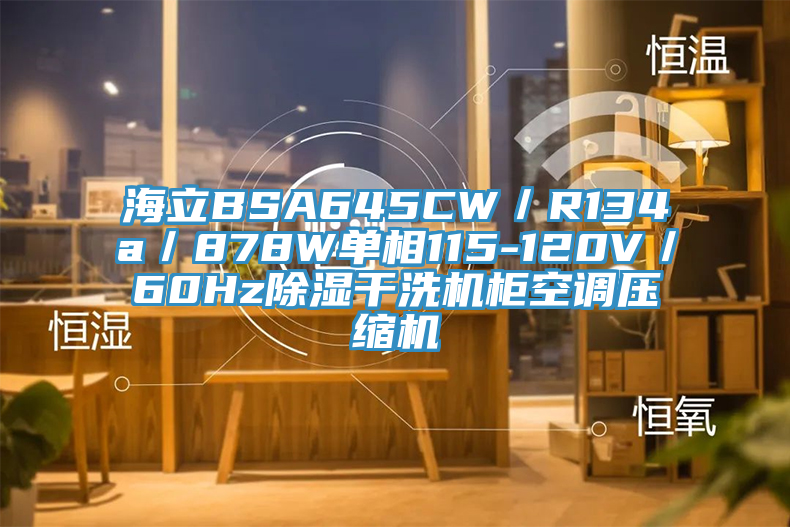 海立BSA645CW/R134a/878W单相115-120V/60Hz除湿干洗机柜空调压缩机