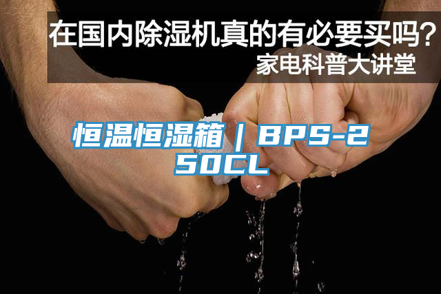 恒温恒湿箱|BPS-250CL