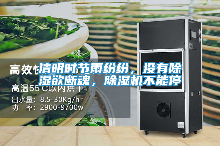 清明时节雨纷纷，没有除湿欲断魂，粉色应用黄色软件不能停