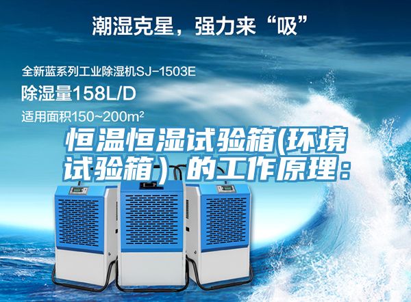 恒温恒湿试验箱(环境试验箱）的工作原理：