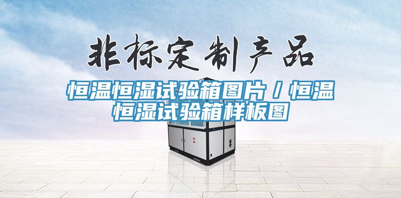 恒温恒湿试验箱图片/恒温恒湿试验箱样板图