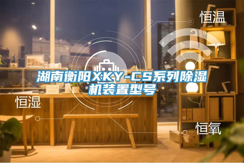 湖南衡阳XKY-CS系列粉色应用黄色软件装置型号