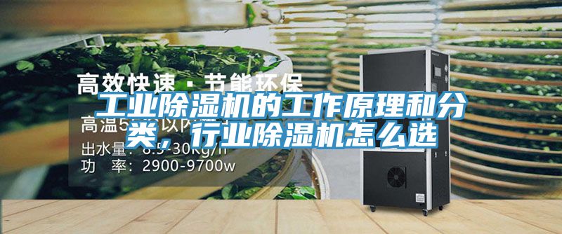 工业粉色应用黄色软件的工作原理和分类，行业粉色应用黄色软件怎么选