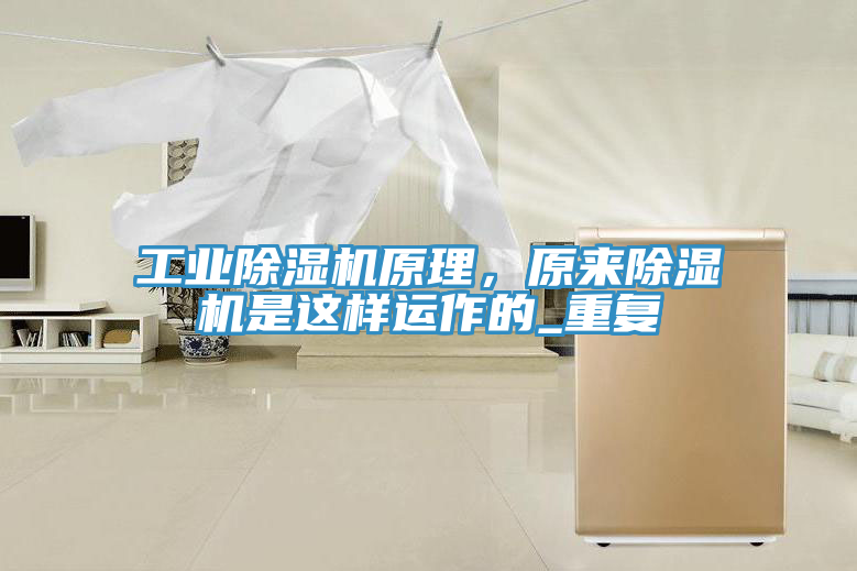 工业粉色应用黄色软件原理，原来粉色应用黄色软件是这样运作的_重复