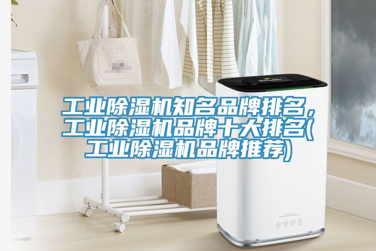 工业粉色应用黄色软件知名品牌排名，工业粉色应用黄色软件品牌十大排名(工业粉色应用黄色软件品牌推荐)