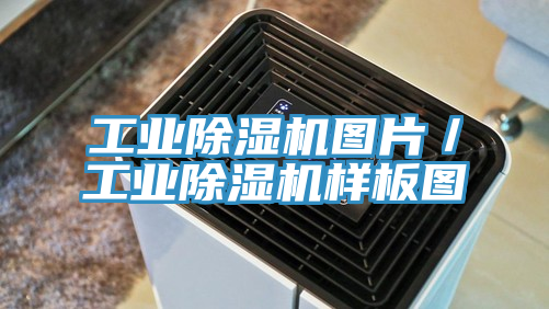 工业粉色应用黄色软件图片／工业粉色应用黄色软件样板图