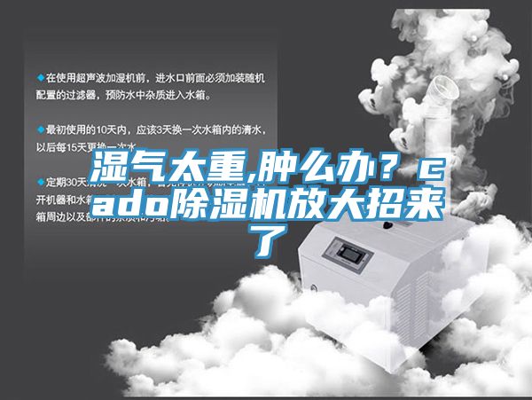 湿气太重,肿么办？cado粉色应用黄色软件放大招来了