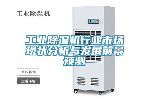 工业粉色应用黄色软件行业市场现状分析与发展前景预测