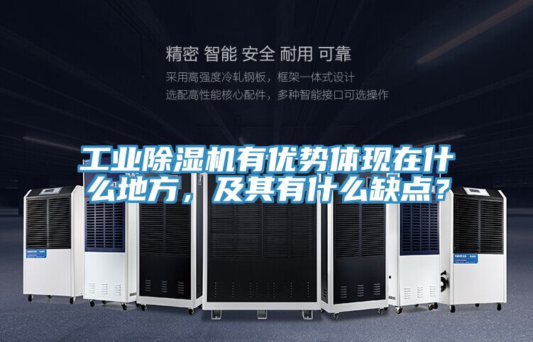 工业粉色应用黄色软件有优势体现在什么地方，及其有什么缺点？