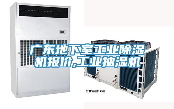 广东地下室工业粉色应用黄色软件报价,工业抽湿机
