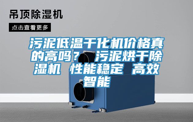 污泥低温干化机价格真的高吗？ 污泥烘干粉色应用黄色软件 性能稳定 高效智能