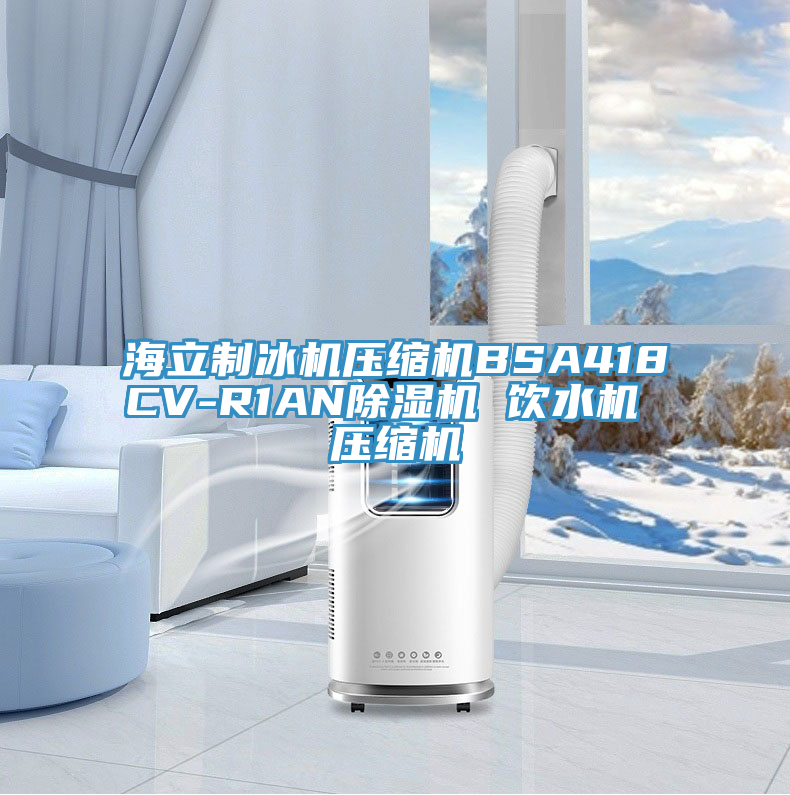 海立制冰机压缩机BSA418CV-R1AN粉色应用黄色软件 饮水机 压缩机