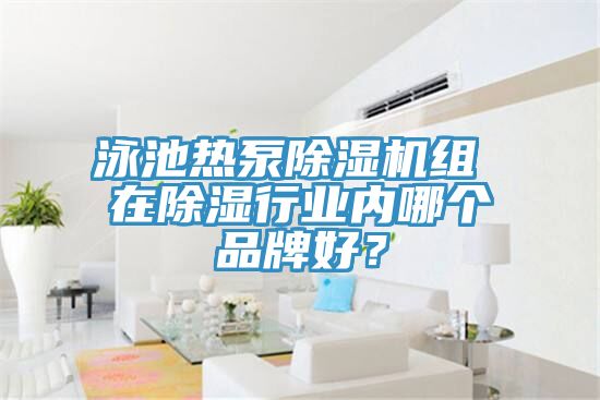 泳池热泵粉色应用黄色软件组 在除湿行业内哪个品牌好？