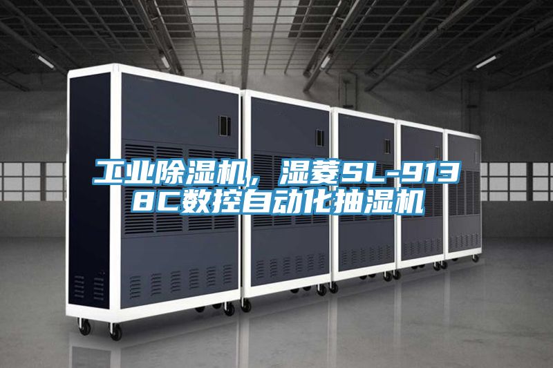 工业粉色应用黄色软件，湿菱SL-9138C数控自动化抽湿机