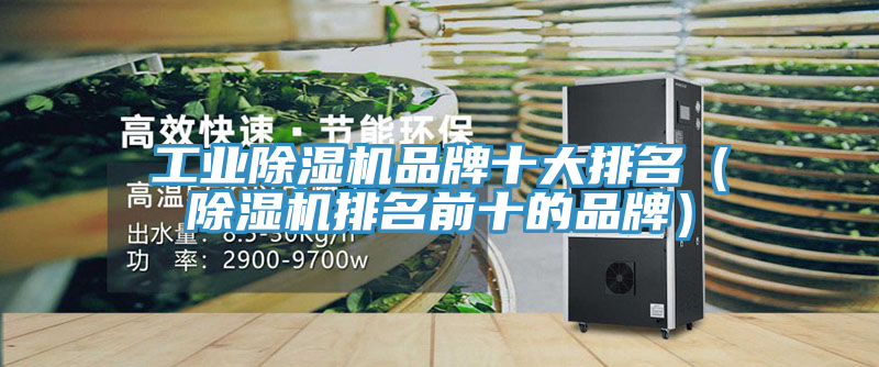 工业粉色应用黄色软件品牌十大排名(粉色应用黄色软件排名前十的品牌)