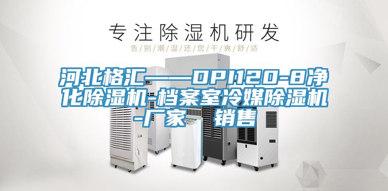 河北格汇——DPI120-8净化粉色应用黄色软件-档案室冷媒粉色应用黄色软件-厂家  销售