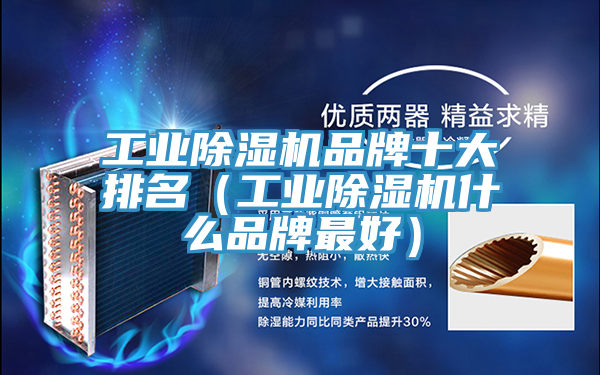 工业粉色应用黄色软件品牌十大排名(工业粉色应用黄色软件什么品牌最好)