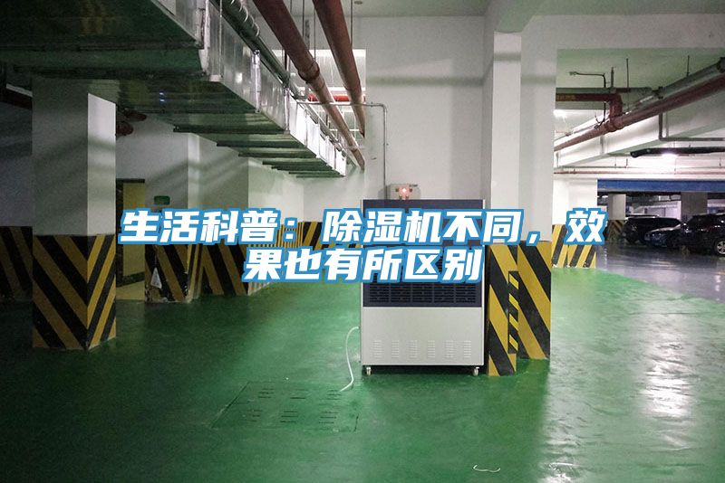 生活科普：粉色应用黄色软件不同，效果也有所区别