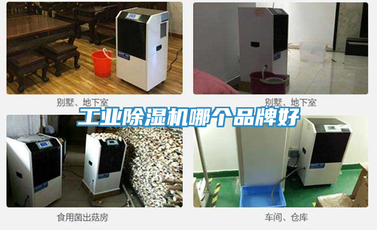 工业粉色应用黄色软件哪个品牌好