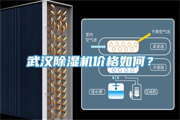 武汉粉色应用黄色软件价格如何？