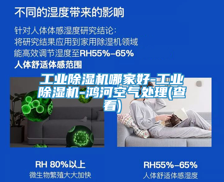 工业粉色应用黄色软件哪家好-工业粉色应用黄色软件-鸿河空气处理(查看)