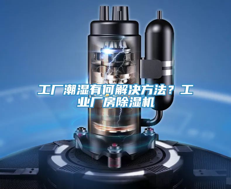 工厂潮湿有何解决方法？工业厂房粉色应用黄色软件