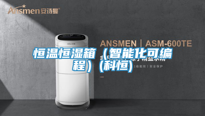 恒温恒湿箱(智能化可编程)(科恒)