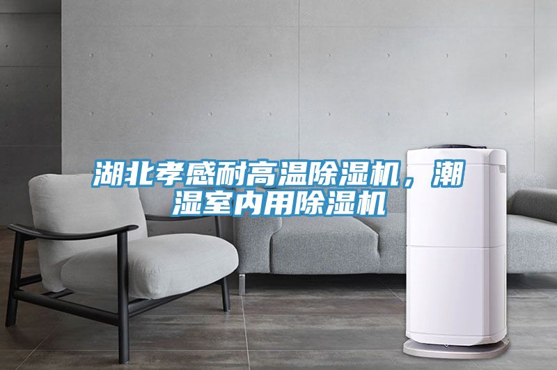 湖北孝感耐高温粉色应用黄色软件，潮湿室内用粉色应用黄色软件