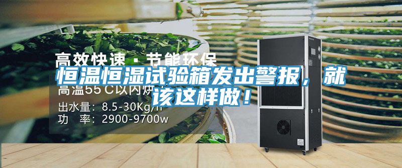 恒温恒湿试验箱发出警报，就该这样做！