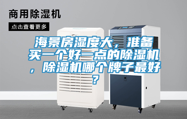 海景房湿度大，准备买一个好一点的粉色应用黄色软件，粉色应用黄色软件哪个牌子最好？