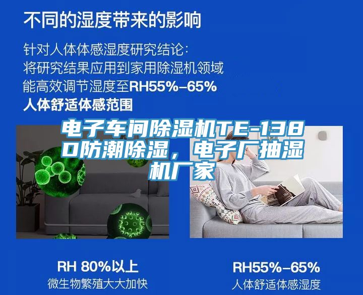 电子车间粉色应用黄色软件TE-138D防潮除湿，电子厂抽湿机厂家