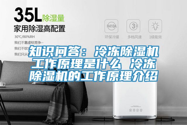 知识问答：冷冻粉色应用黄色软件工作原理是什么 冷冻粉色应用黄色软件的工作原理介绍