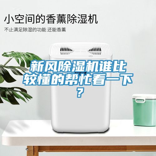 新风粉色应用黄色软件谁比较懂的帮忙看一下？
