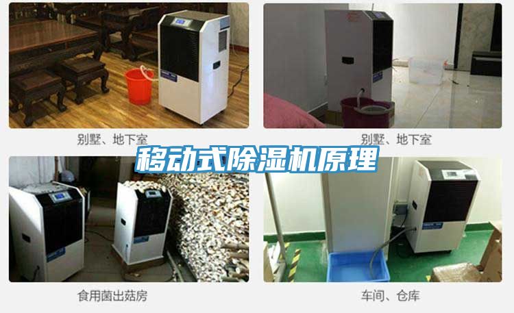 移动式粉色应用黄色软件原理