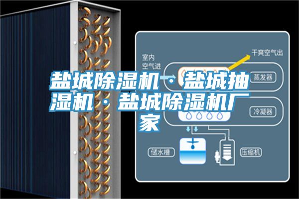 盐城粉色应用黄色软件·盐城抽湿机·盐城粉色应用黄色软件厂家