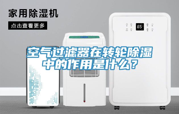 空气过滤器在转轮除湿中的作用是什么？