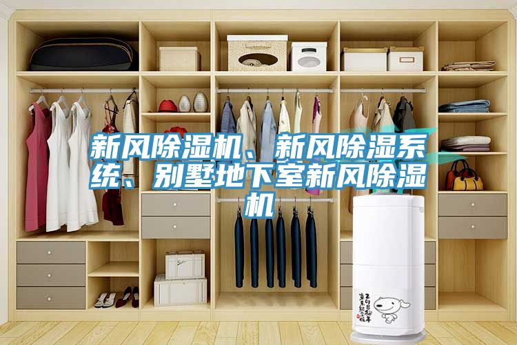 新风粉色应用黄色软件、新风除湿系统、别墅地下室新风粉色应用黄色软件