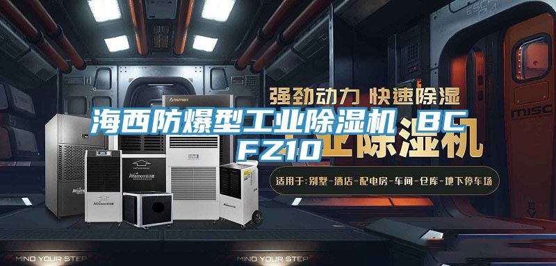 海西防爆型工业粉色应用黄色软件 BCFZ10