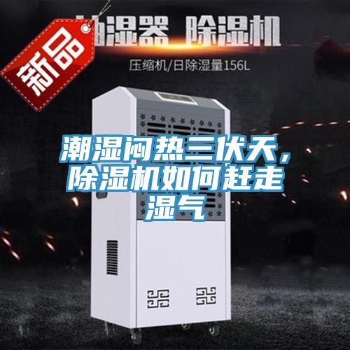 潮湿闷热三伏天，粉色应用黄色软件如何赶走湿气