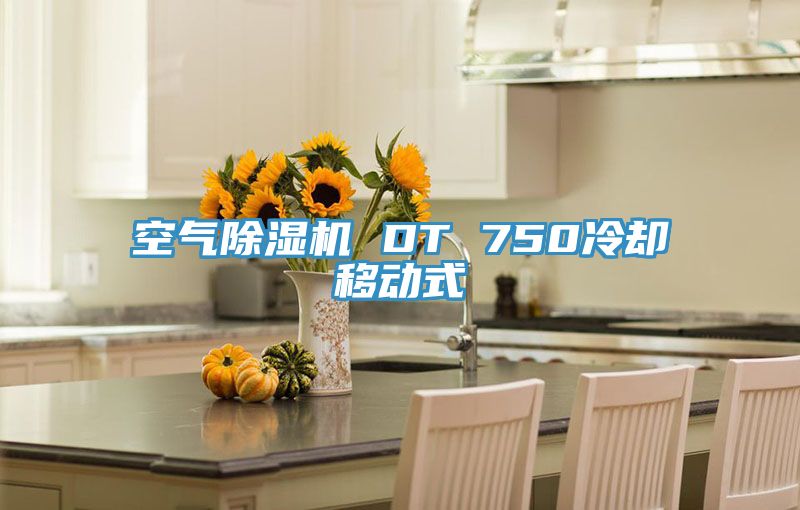 空气粉色应用黄色软件 DT 750冷却移动式